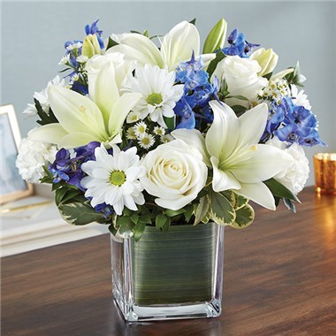 Healing Tears&trade; Blue & White