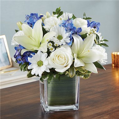 148683m_HR_fd_03_15_17